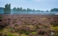 Wahner Heide 013