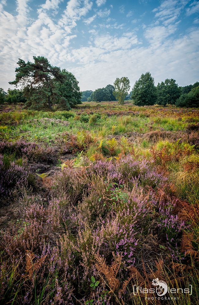 Wahner Heide 016