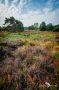 Wahner Heide 016