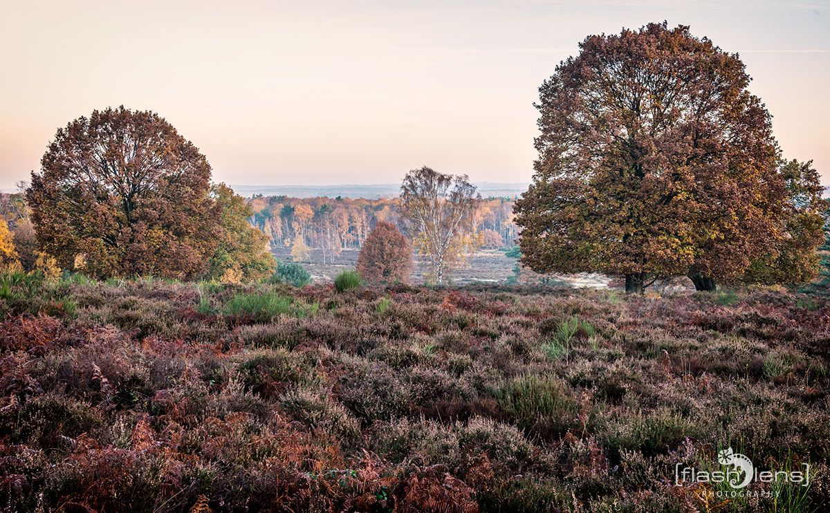 Wahner Heide 026