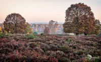 Wahner Heide 026