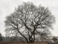 Wahner Heide 029