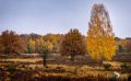 Wahner Heide 033