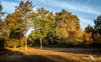 Wahner Heide 043