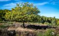 Wahner Heide 044
