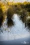 Grundloser See 017