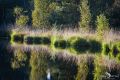 Grundloser See 018