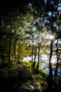Grundloser See 022