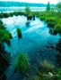 Grundloser See 027