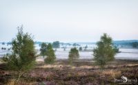 Heide und Totengrund 2017 005