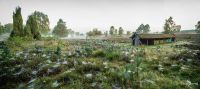 Heide und Totengrund 2017 009