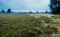 Heide und Totengrund 2017 010