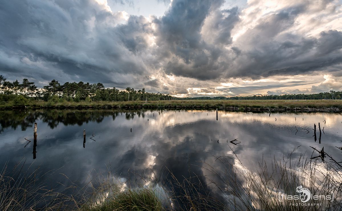 Pietzmoor 003