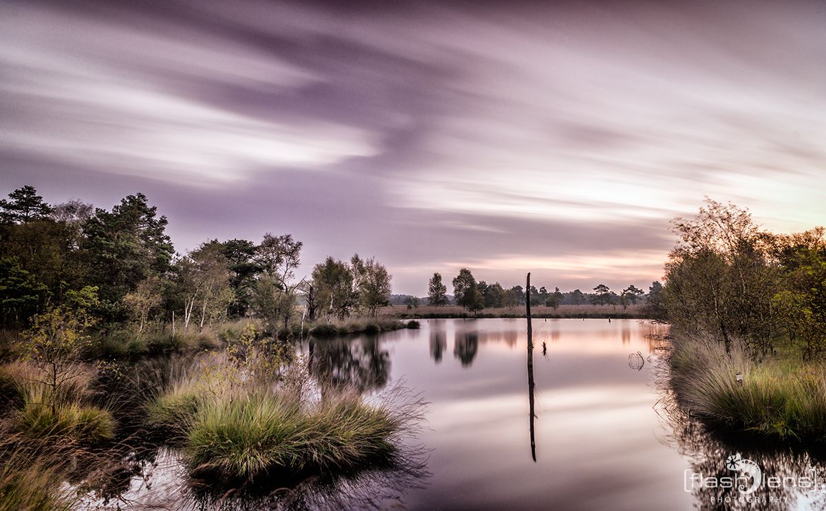 Pietzmoor 009