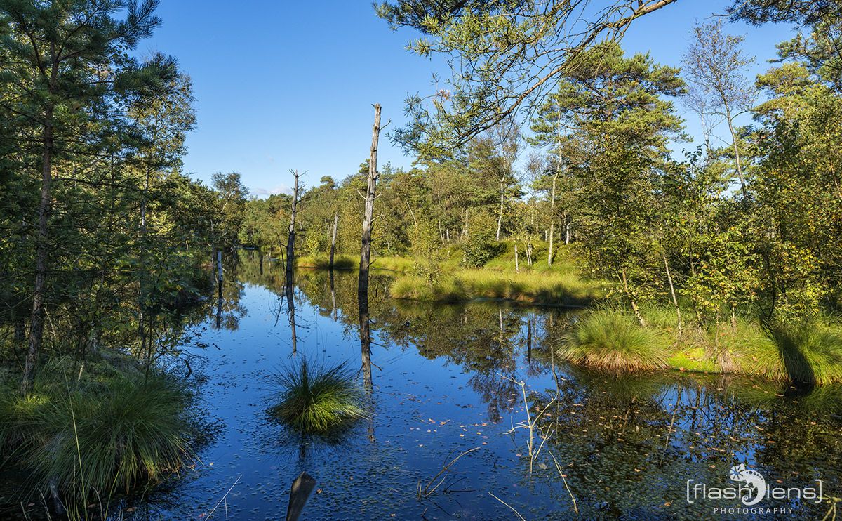 Pietzmoor 014