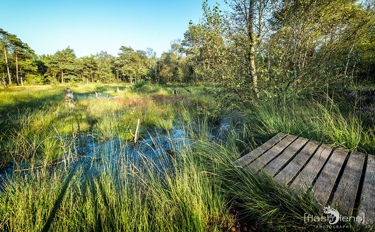 Pietzmoor 017