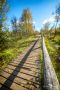 Pietzmoor 018