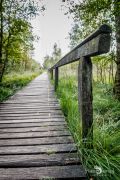 Pietzmoor 019