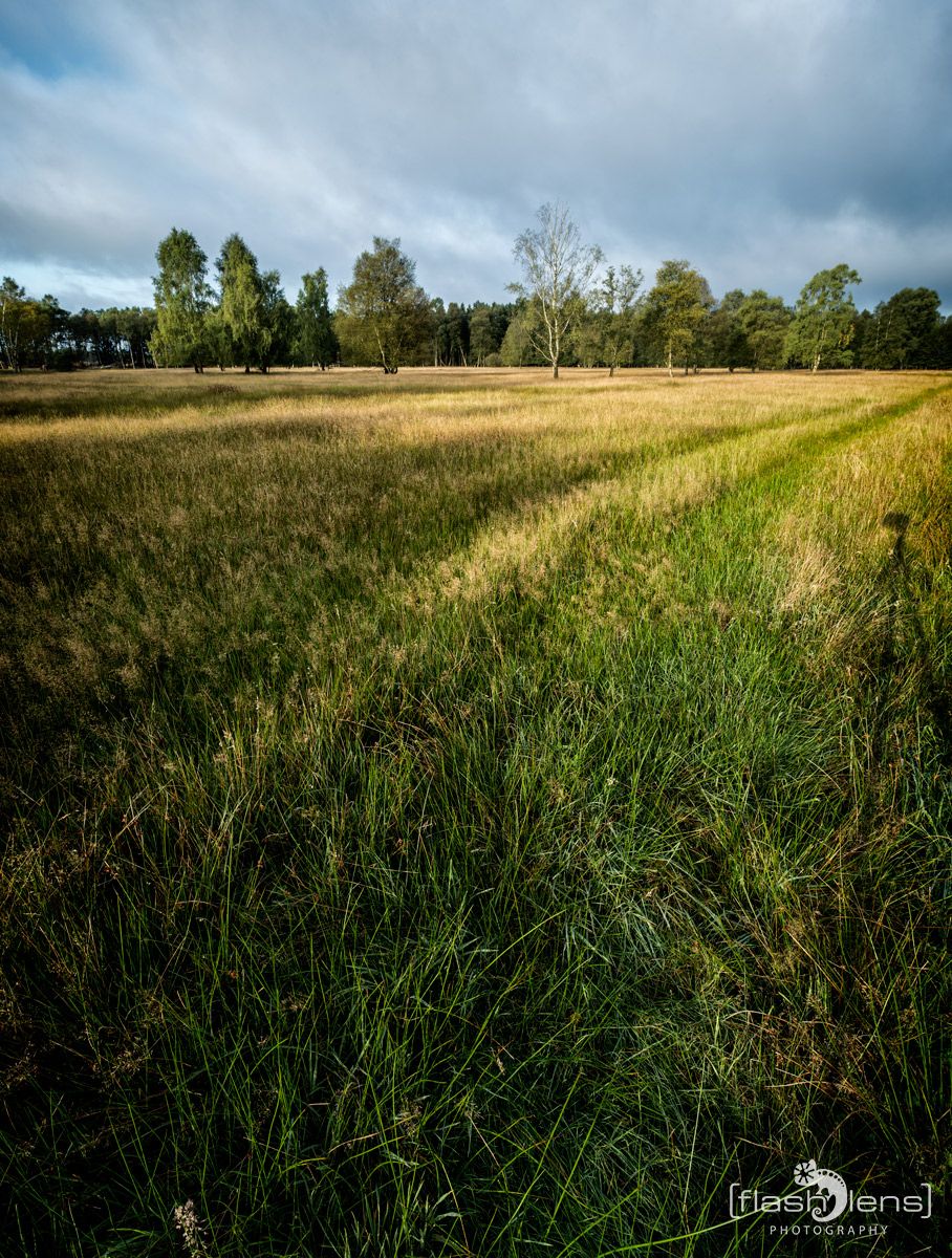 Pietzmoor 020