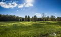 Pietzmoor 022
