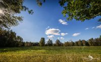 Pietzmoor 023