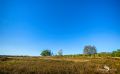 Pietzmoor 024