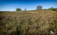 Pietzmoor 025