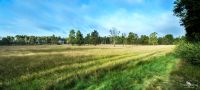 Pietzmoor 027