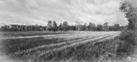 Pietzmoor 028