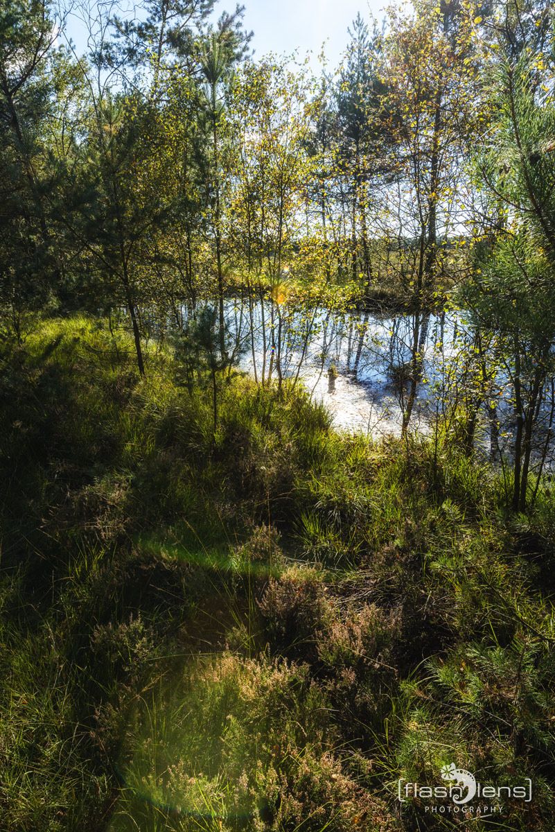 Pietzmoor 033