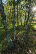 Pietzmoor 034