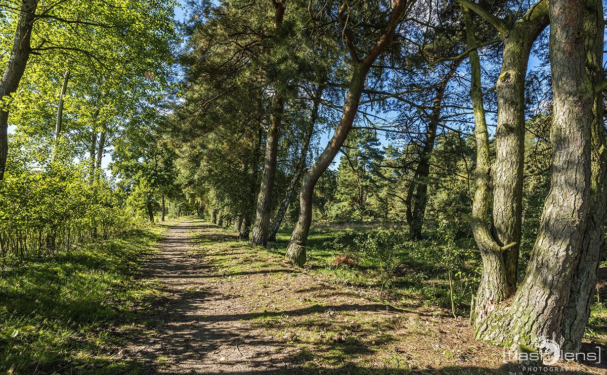 Pietzmoor 038