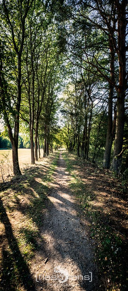 Pietzmoor 2019 001