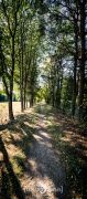 Pietzmoor 2019 001