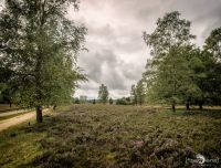 Totengrund 008