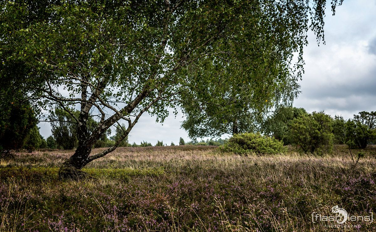 Totengrund 030