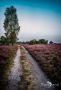 Wilsede 2019 007