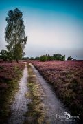 Wilsede 2019 007
