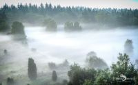 Wilseder Berg 012