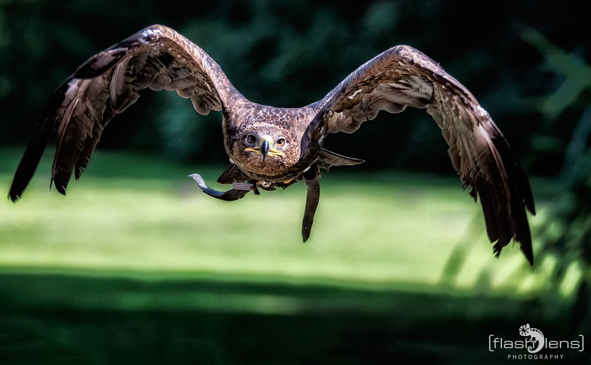 Weltvogelpark 088