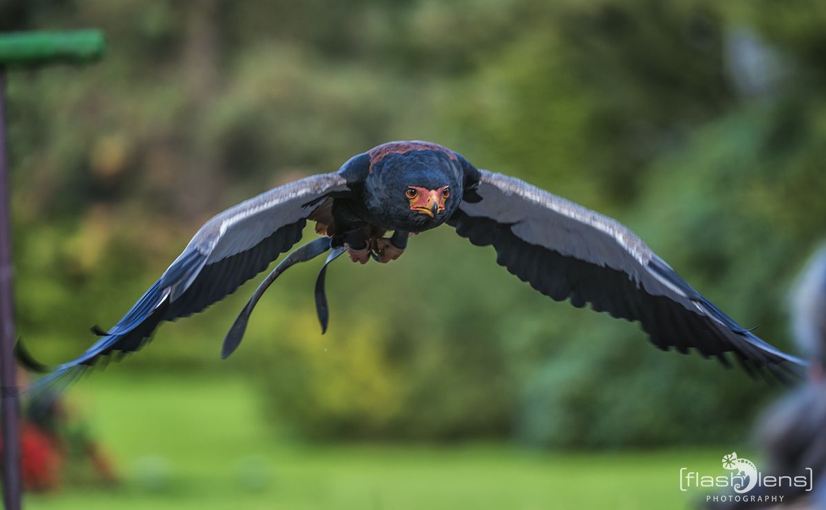 Weltvogelpark 097
