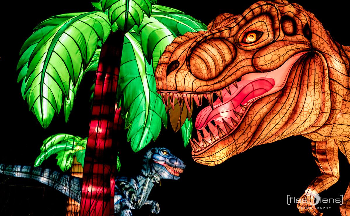 Chinese Light Festival 012