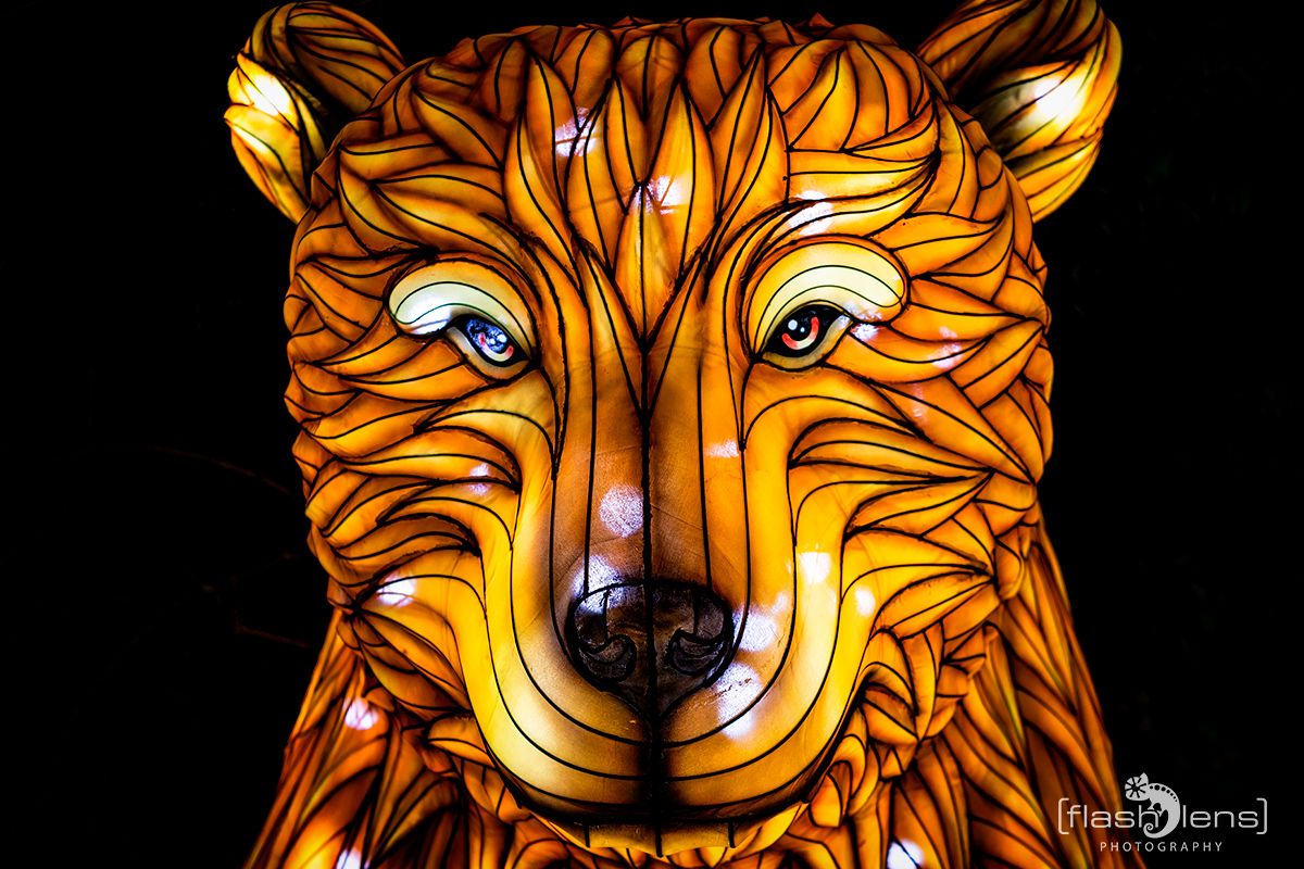 Chinese Light Festival 013