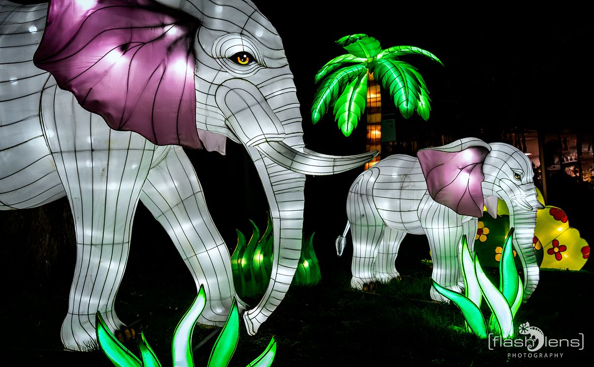 Chinese Light Festival 014