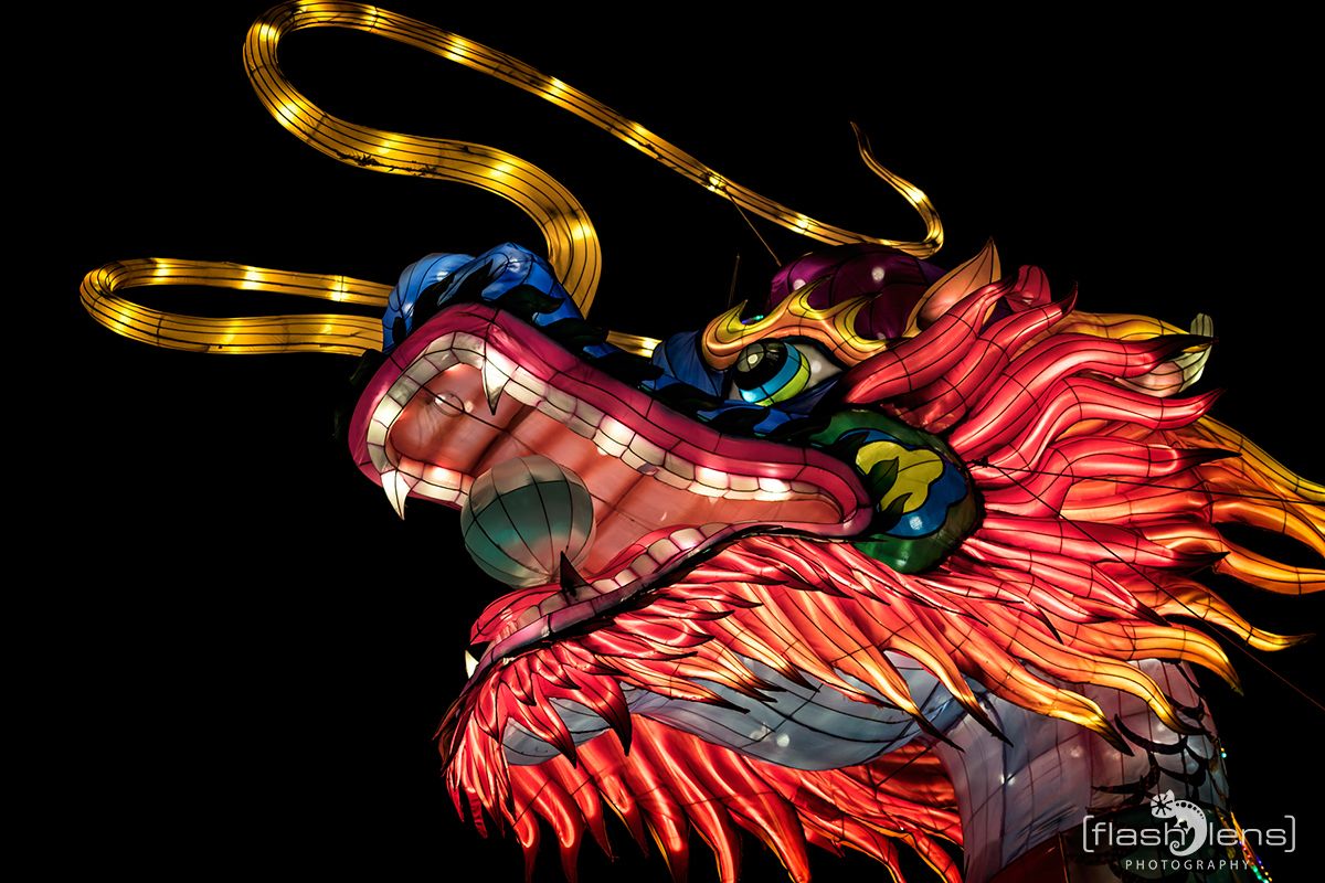 Chinese Light Festival 021