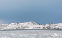 01 Reykavik und Umgebung 016