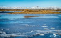 01 Reykavik und Umgebung 027