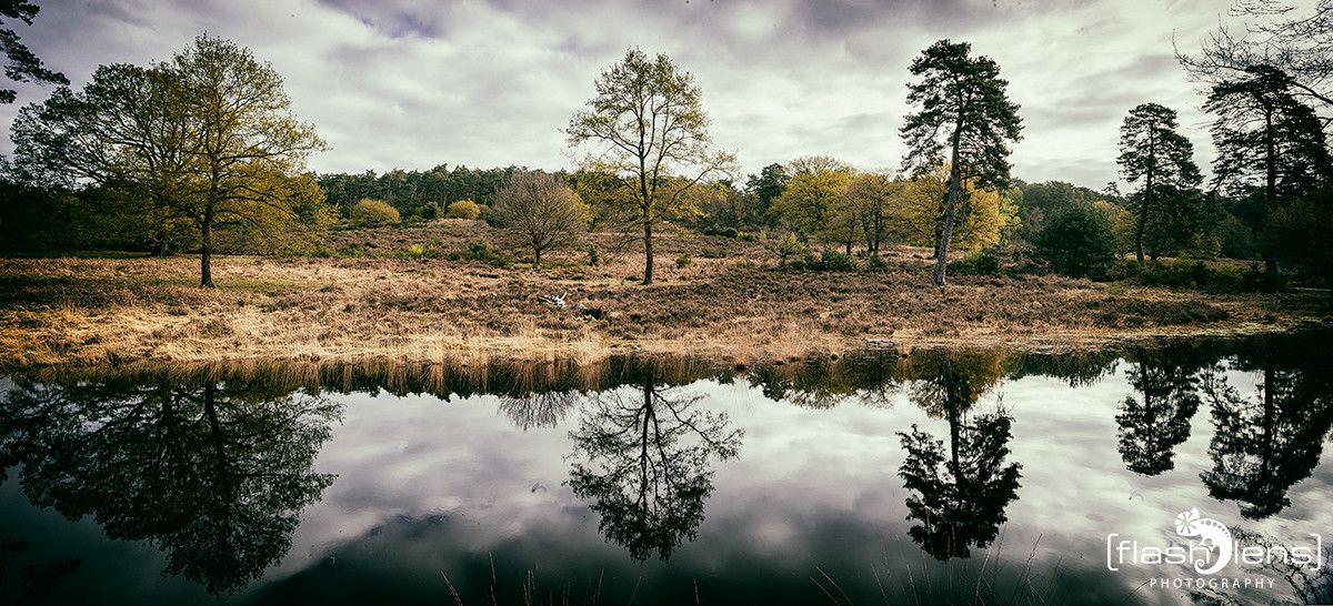 Wahner Heide 006