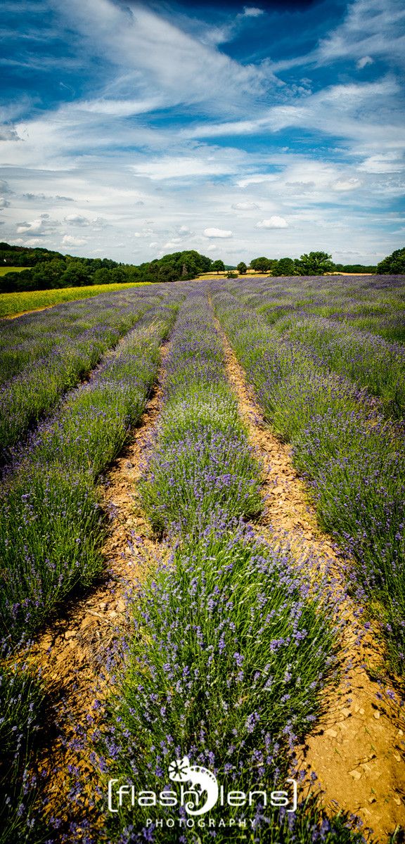 Petit Provence 014