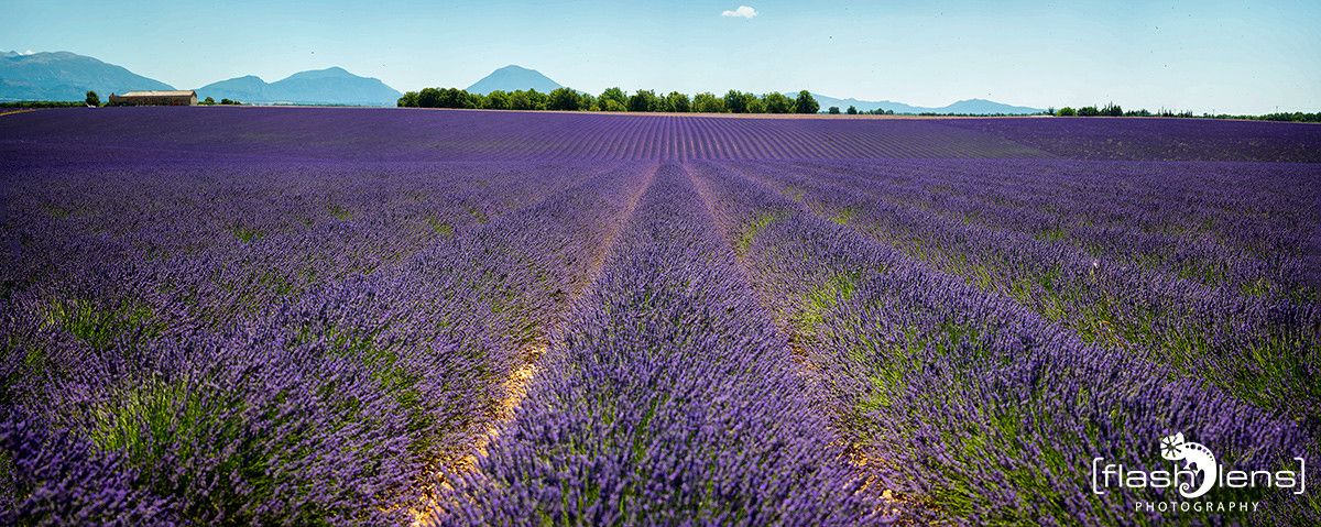 Provence 2020 011
